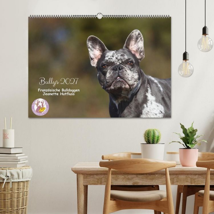 Produktbild: Bullys - Franz&ouml;sische Bulldoggen 2027 (Wandkalender 2027 DIN A2 quer), CALVENDO Monatskalender