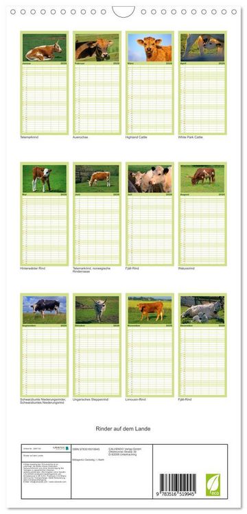 Produktbild: Familienplaner 2026 - Rinder auf dem Lande mit 5 Spalten (Wandkalender, 21 x 45 cm) CALVENDO