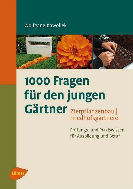 Produktbild: 1000 Fragen f&uuml;r den jungen G&auml;rtner. Zierpflanzenbau, Friedhofsg&auml;rtnerei