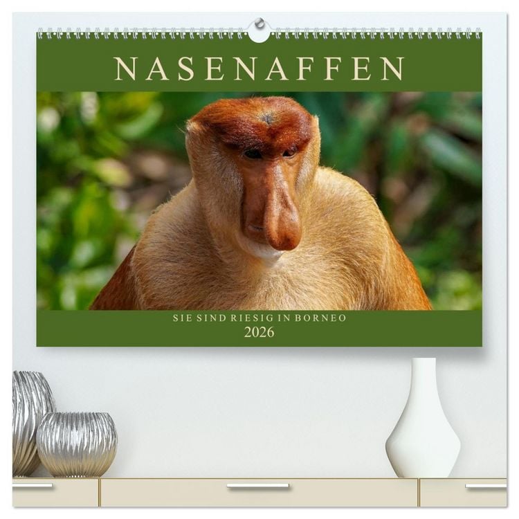 Produktbild: Nasenaffen von Borneo (hochwertiger Premium Wandkalender 2026 DIN A2 quer), Kunstdruck in Hochglanz