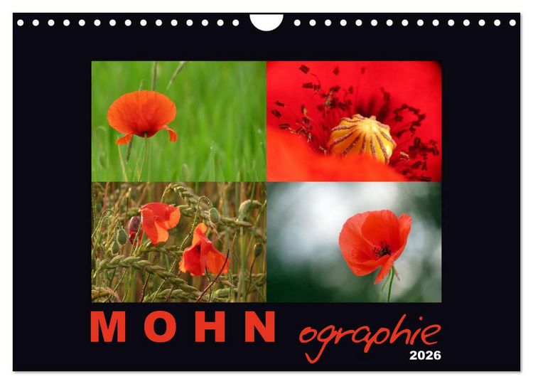 Produktbild: MOHNographie (Wandkalender 2026 DIN A4 quer), CALVENDO Monatskalender