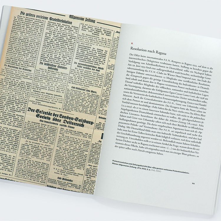 Produktbild: Politik und Literatur