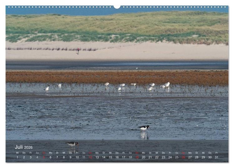 Produktbild: Texel - Meine Insel (hochwertiger Premium Wandkalender 2026 DIN A2 quer), Kunstdruck in Hochglanz
