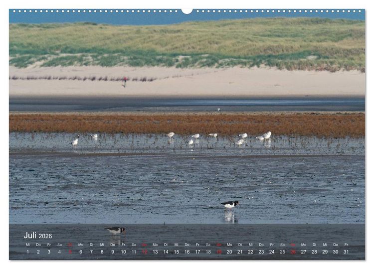 Produktbild: Texel - Meine Insel (Wandkalender 2026 DIN A2 quer), CALVENDO Monatskalender