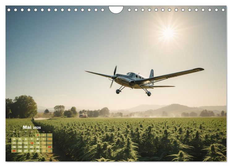 Produktbild: Wundersch&ouml;ne Cannabisfelder (Wandkalender 2026 DIN A4 quer), CALVENDO Monatskalender