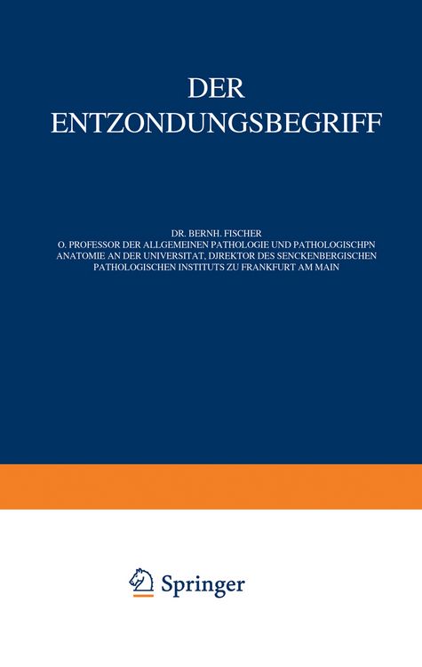 Produktbild: Der Entz&uuml;ndungsbegriff