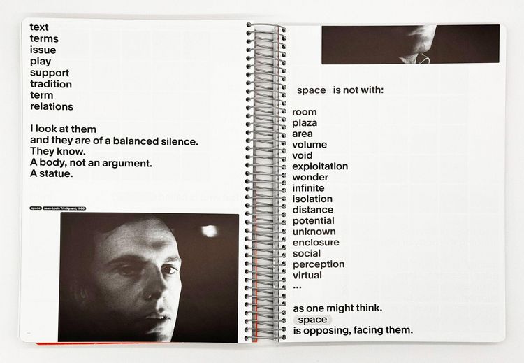 Produktbild: JOINTING THINGS - ON FRITZ HALLER (2 Vols.)