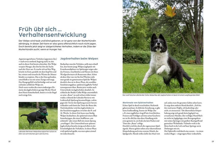 befriedigung durch hund Tucker Dildo main image 1