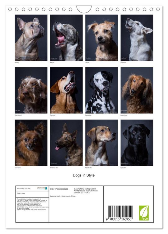 Produktbild: Dogs in Style (Wall Calendar 2026 DIN A4 portrait), CALVENDO 12 Month Wall Calendar