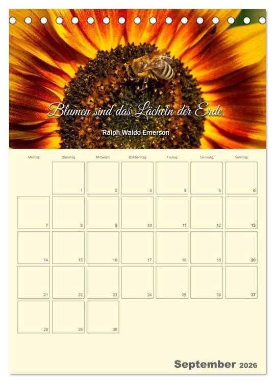 Produktbild: Gartenliebe (Tischkalender 2026 DIN A5 hoch), CALVENDO Monatskalender