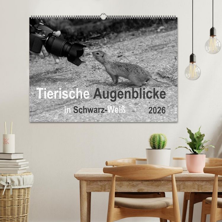 Produktbild: Tierische Augenblicke in Schwarz-Wei&szlig; (Wandkalender 2026 DIN A2 quer), CALVENDO Monatskalender
