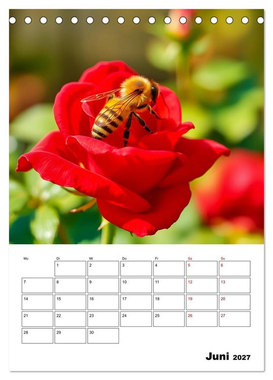 Produktbild: Die leisen Stimmen der Tiere (Tischkalender 2027 DIN A5 hoch), CALVENDO Monatskalender