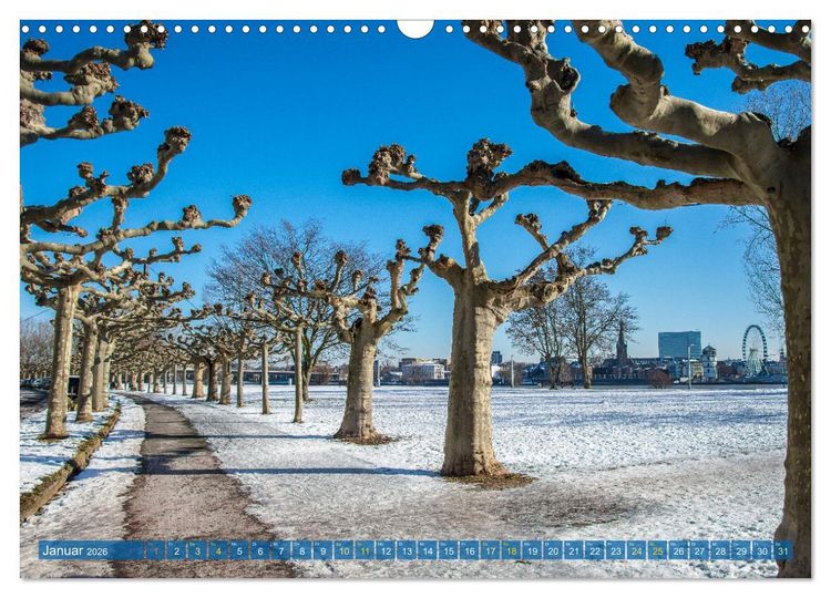 Produktbild: D&uuml;sseldorf - Ansichten einer faszinierenden Stadt (Wandkalender 2026 DIN A3 quer), CALVENDO Monatskalender