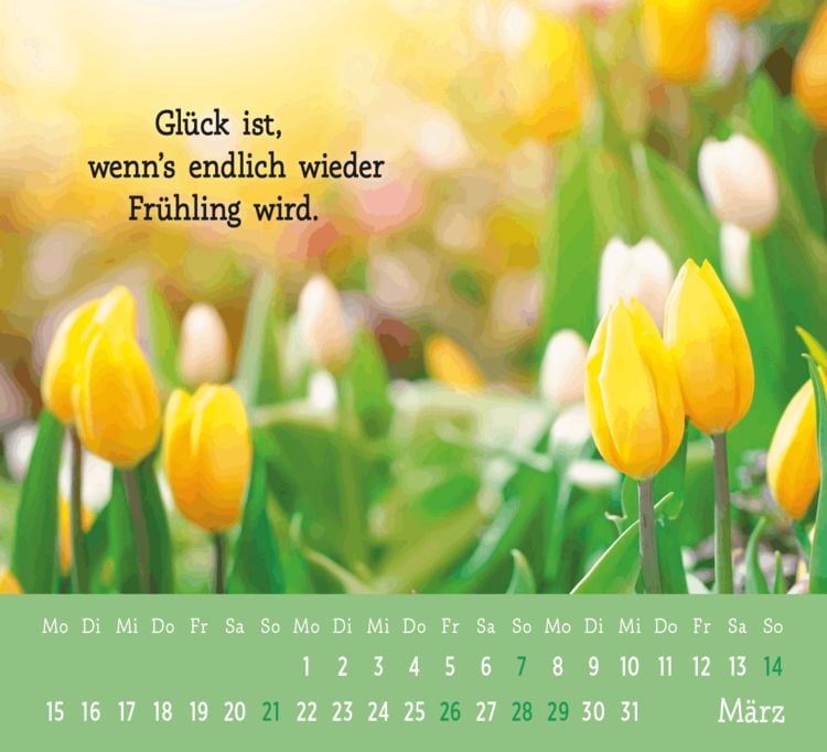Produktbild: Mini-Kalender 2027: Der kleine Gl&uuml;ckskalender