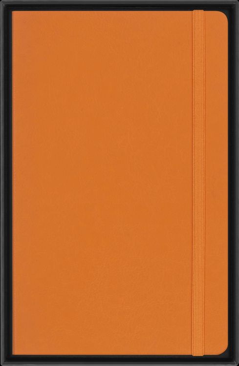 Produktbild: Moleskine Vegea Capri Notizbuch Large/A5 liniert weicher Einband orange in Box