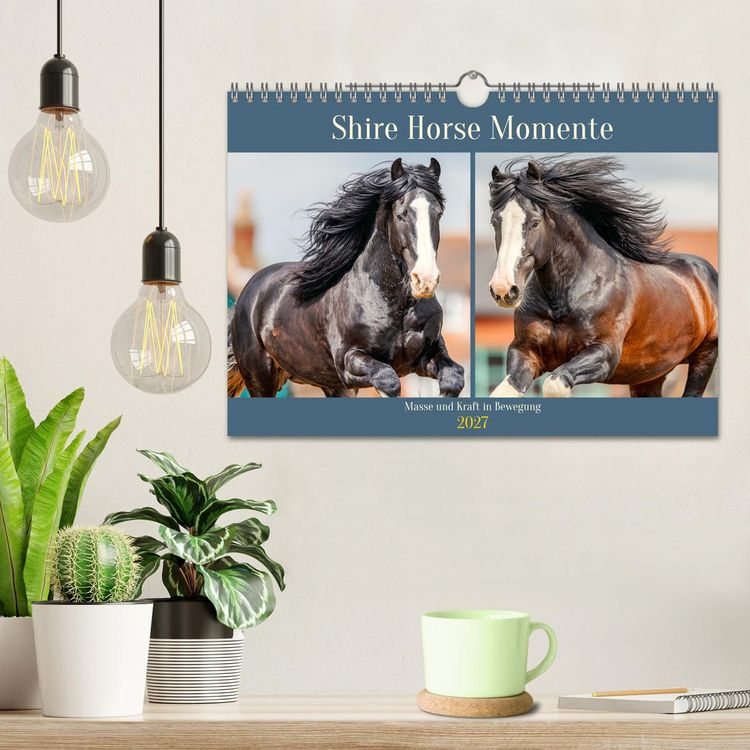 Produktbild: Shire Horse Momente. Masse und Kraft in Bewegung (Wandkalender 2027 DIN A4 quer), CALVENDO Monatskalender