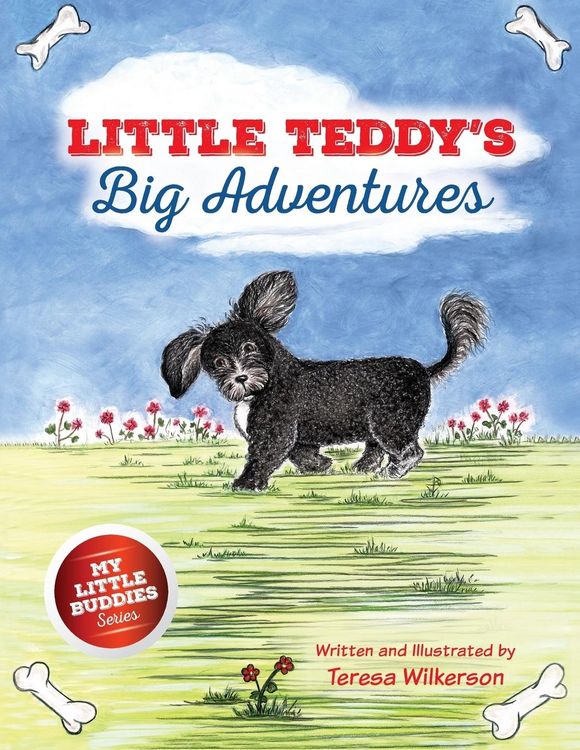 Produktbild: Little Teddy's Big Adventures