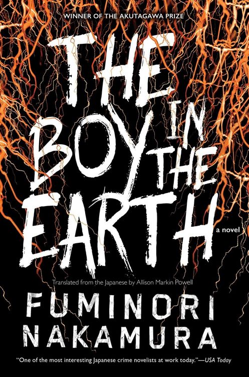 Produktbild: The Boy in the Earth