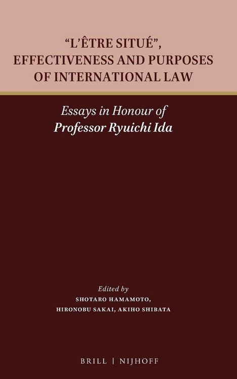Produktbild: L'&Ecirc;tre Situ&eacute;, Effectiveness and Purposes of International Law