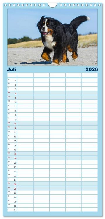Produktbild: Familienplaner 2026 - Berner Sennenhund 2026 mit 5 Spalten (Wandkalender, 21 x 45 cm) CALVENDO