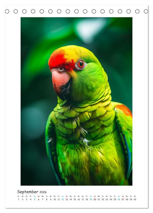 Produktbild: Exotische Sch&ouml;nheiten - pr&auml;chtig bunte V&ouml;gel (Tischkalender 2026 DIN A5 hoch), CALVENDO Monatskalender