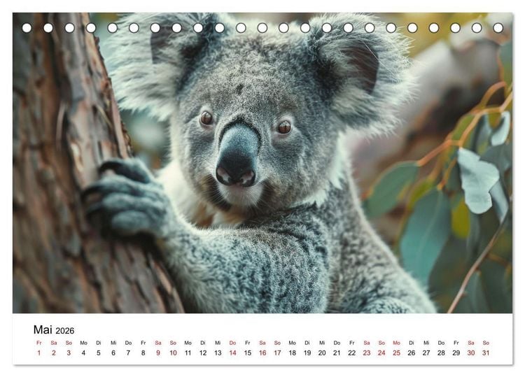 Produktbild: Wildes Down Under: Tiere des Australischen Kontinents (Tischkalender 2026 DIN A5 quer), CALVENDO Monatskalender