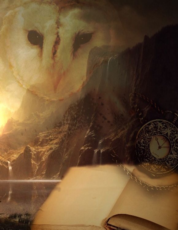 Produktbild: Fantasy Notizbuch: Eulenmagie - wei&szlig;e Seiten mit Eckmotiv