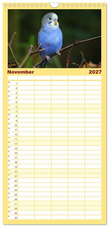 Produktbild: Familienplaner 2027 - Wellensittichkalender! - Das Original mit 5 Spalten (Wandkalender, 21 x 45 cm) CALVENDO