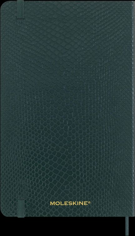 Produktbild: Moleskine Vegea Boa Notizbuch A5 liniert Kt gr&uuml;n in Box