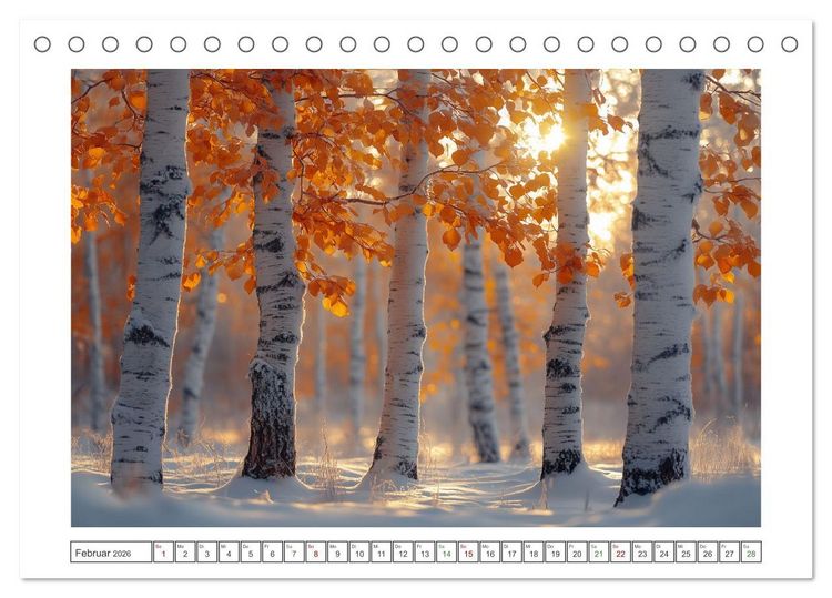 Produktbild: Birkenzauber (Tischkalender 2026 DIN A5 quer), CALVENDO Monatskalender
