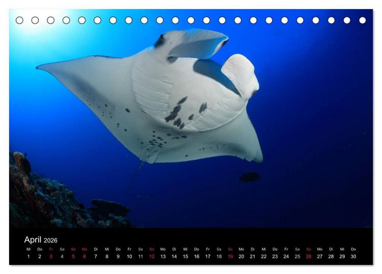 Produktbild: Magische Unterwasserwelten (Tischkalender 2026 DIN A5 quer), CALVENDO Monatskalender