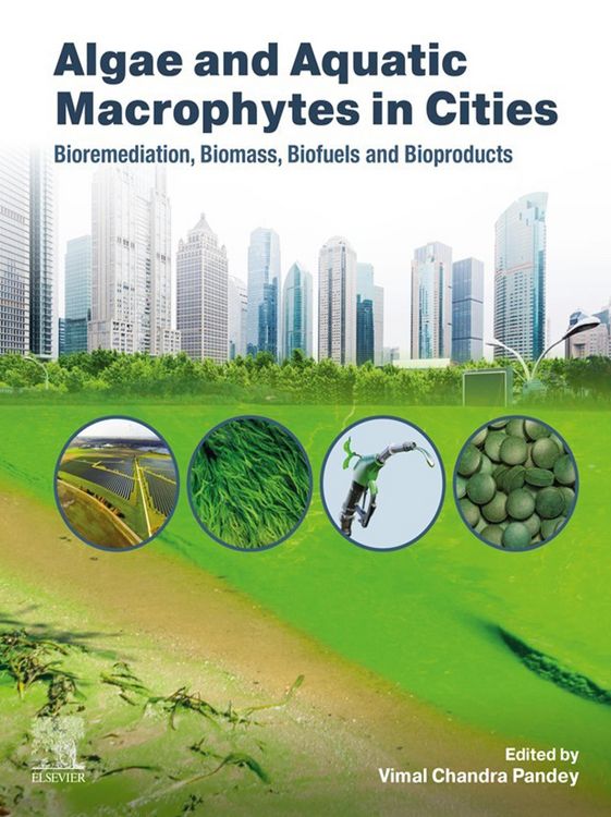 Produktbild: Algae and Aquatic Macrophytes in Cities