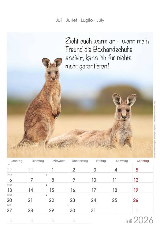 Produktbild: Kleine Freunde 2026 - Bildkalender 23,7x34 cm - Kalender mit Platz für Notizen - mit vielen Zusatzinformationen - Wandkalender - Alpha Edition