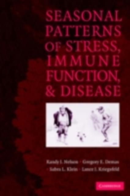 Produktbild: Seasonal Patterns of Stress, Immune Function, and Disease