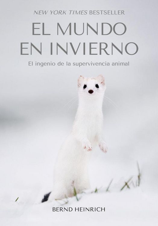 Produktbild: El Mundo en Invierno
