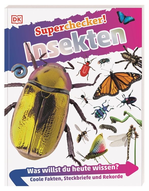 Bild vom Artikel Superchecker! Insekten vom Autor Andrea Mills