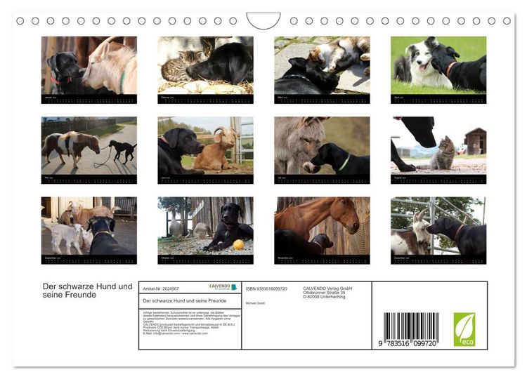 Produktbild: Der schwarze Hund und seine Freunde (Wandkalender 2026 DIN A4 quer), CALVENDO Monatskalender