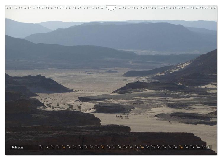 Produktbild: Impressionen Kameltrekking Sinai 2026 (Wandkalender 2026 DIN A3 quer), CALVENDO Monatskalender