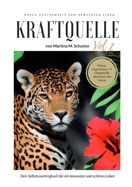 Produktbild: Kraftquelle Vol. 2