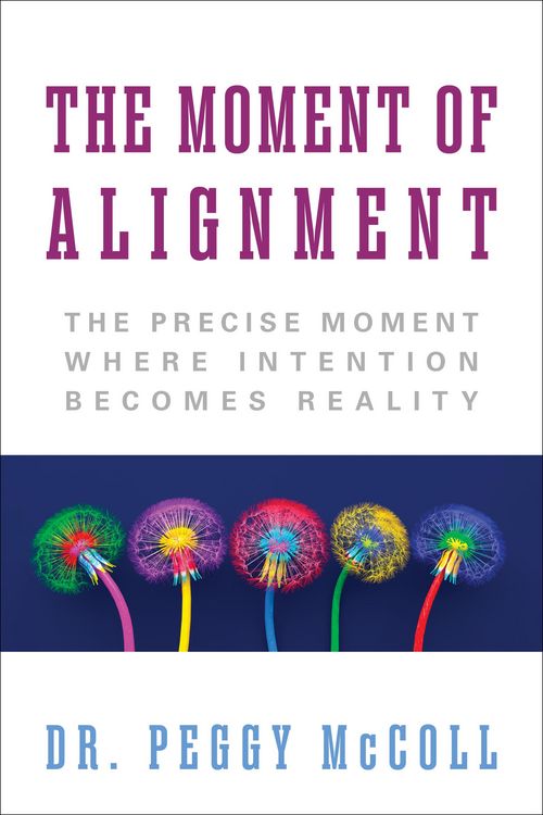 Produktbild: The Moment of Alignment