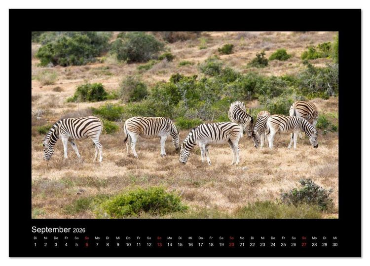 Produktbild: S&uuml;dafrika - Garden Route (Wandkalender 2026 DIN A2 quer), CALVENDO Monatskalender