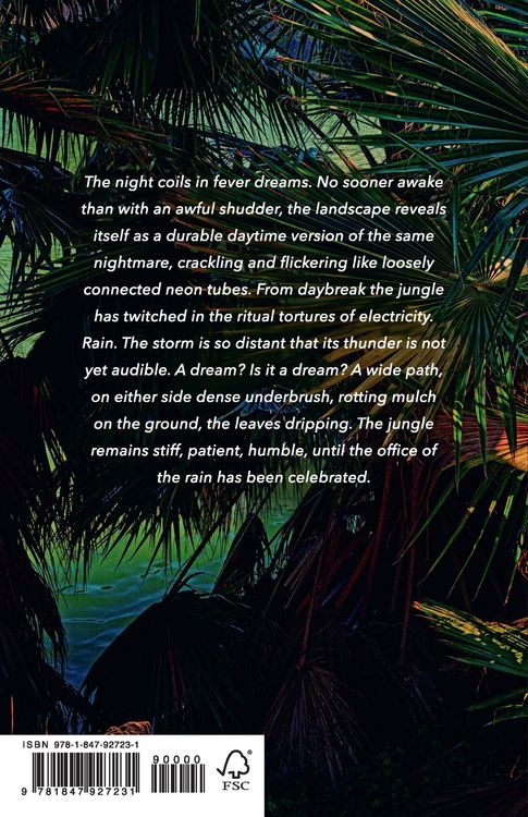 Produktbild: The Twilight World