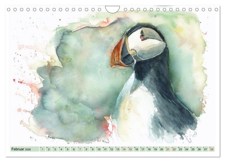 Produktbild: Faszination V&ouml;gel im Aquarell - Expressionistische Kunst von Doris Kr&uuml;ger (Wandkalender 2026 DIN A4 quer), CALVENDO Monatskalender