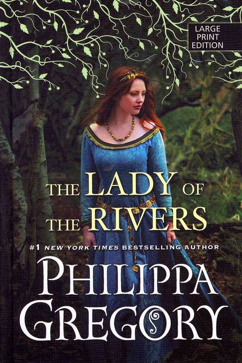 Produktbild: Cousins' War Lady Of The River