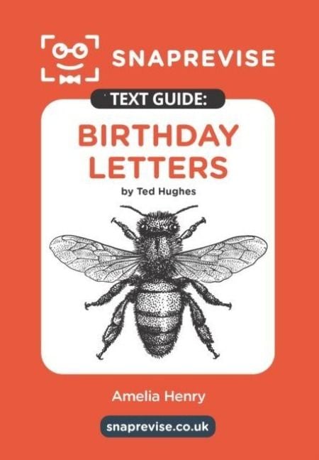 Produktbild: SnapRevise Birthday Letters Text Guide for English Literature