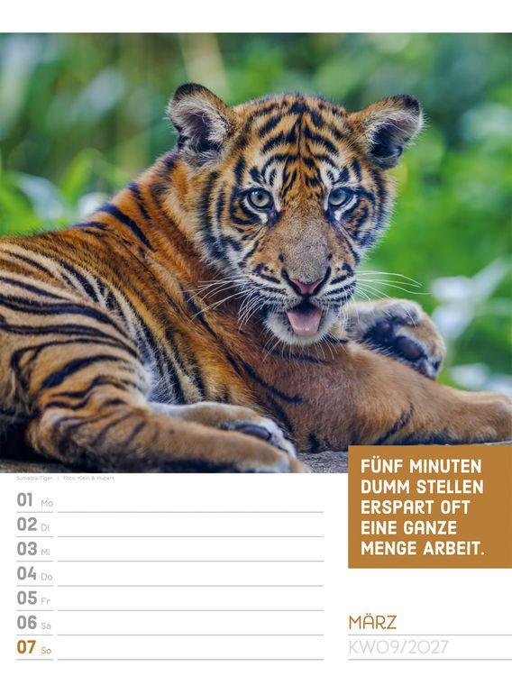 Produktbild: Tierisch Spr&uuml;chekalender Wochenplaner 2027