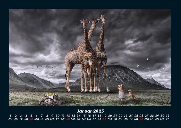 Produktbild: Giraffen 2025 Fotokalender DIN A4