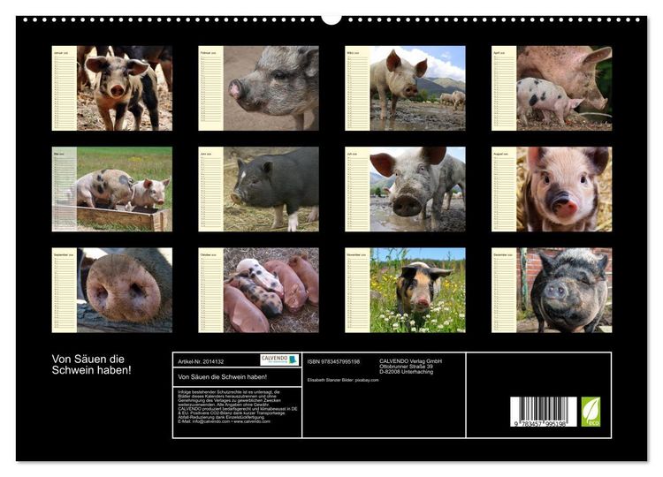 Produktbild: Von S&auml;uen die Schwein haben! (hochwertiger Premium Wandkalender 2026 DIN A2 quer), Kunstdruck in Hochglanz