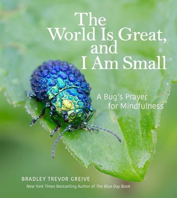 Produktbild: The World Is Great, and I Am Small