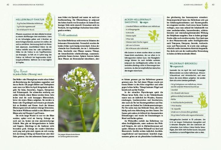 Produktbild: Geheimnisse der Unkr&auml;uter